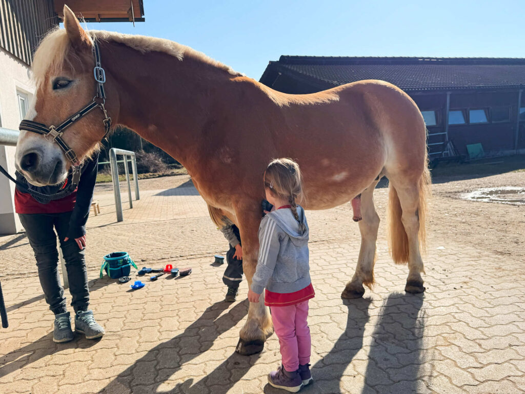 Reiten für Kinder: Ein Mädchen putzt sanft ein braunes Pony