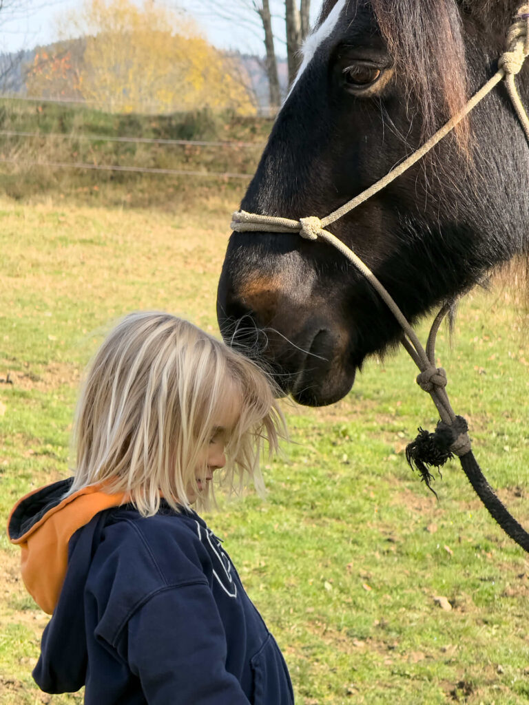 Reittherapie und Heilpädagogisches Reiten: Pony berührt Kind mit der Nase, liebevoller Pferdekontakt