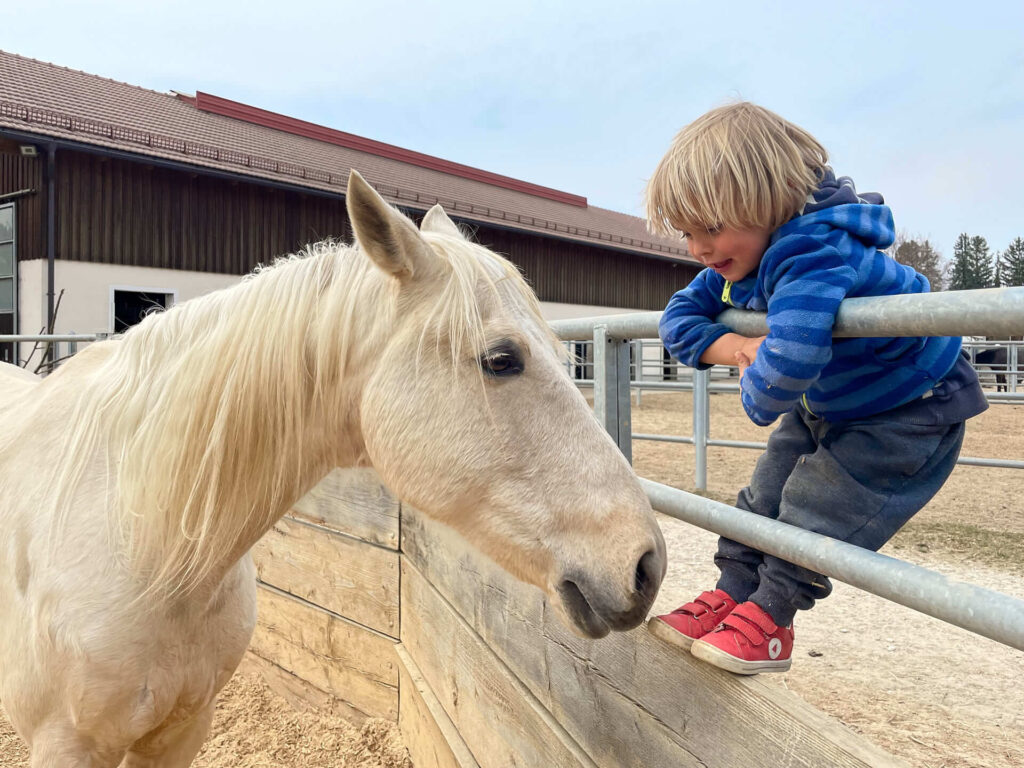 Reittherapie für Kinder: Ein Kind baut Vertrauen zu einem Pony in der Therapie auf
