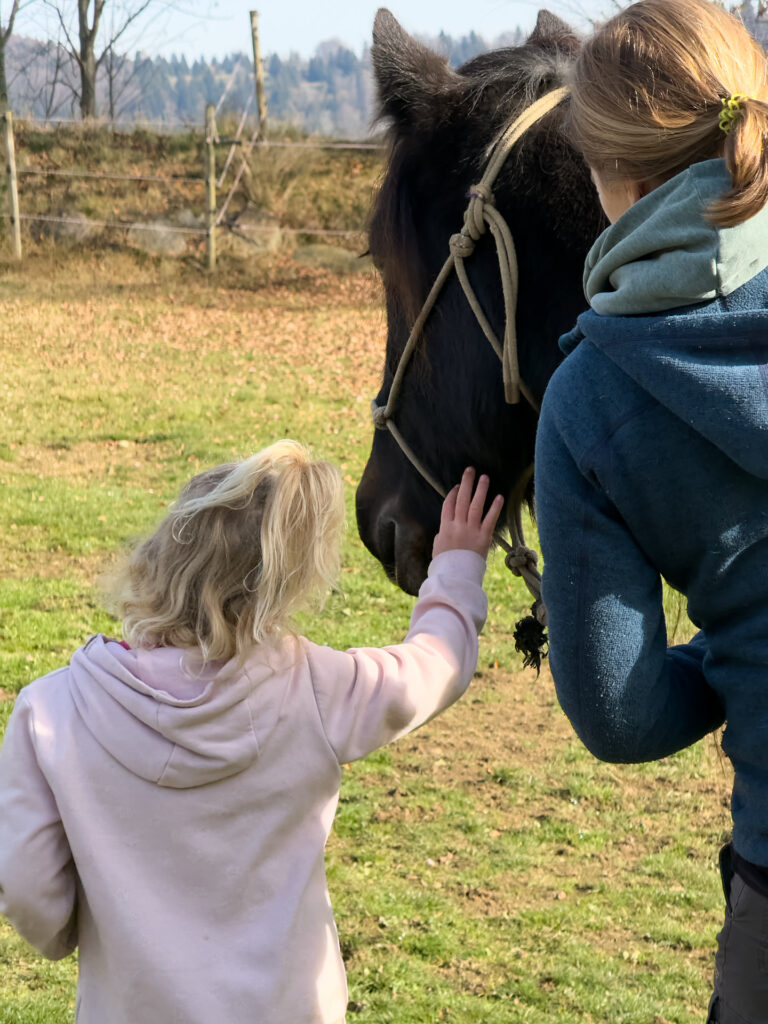 Kinderkurse und Reittherapie: Kind streichelt Pferd, spürt das weiche Fell